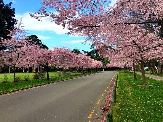 Victoria Esplanade Gardens